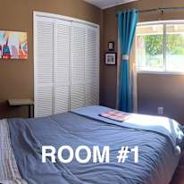 T's room