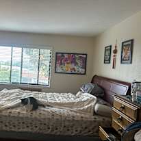 Cassidy's room