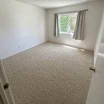 T's room