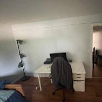 Pari Moradi's room
