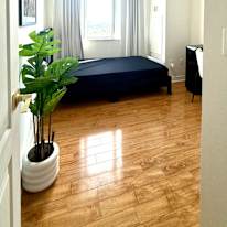 Olga Bychkova's room