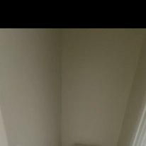 Elif and Ashley's room