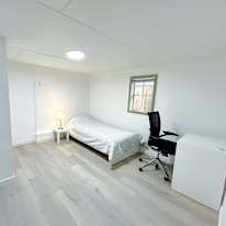Shahram's room
