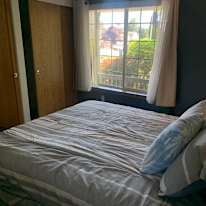 Shane's room