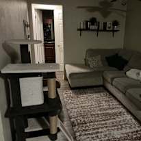 Kayneti's room