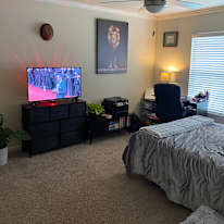 Navid's room
