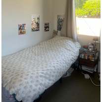 Alara's room