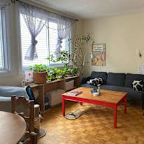 Sheida Mousavi's room
