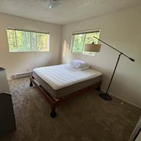 Lily's room