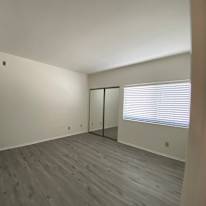 jenny's room