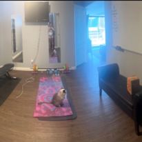Chantelle Paquette's room