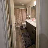 Cecilia's room