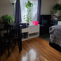 Cindi's room