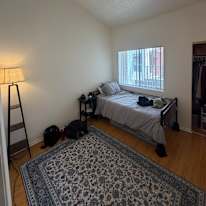 Abby Martin's room