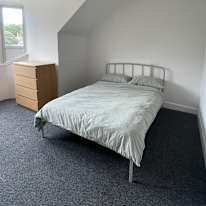 Lily's room