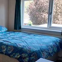 Lesley's room