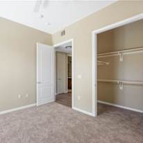 Tish's room