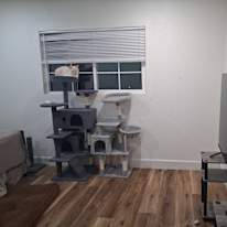 Sandra's room