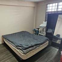 Nofi's room