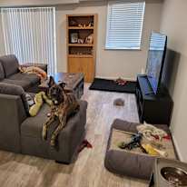 Todd's room