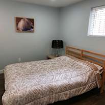 Nikoo Zohadi's room