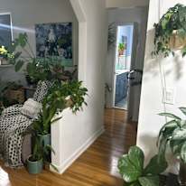 Jacklyn Stephens's room