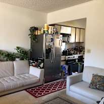 peter's room