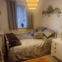 Sandra newman's room