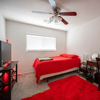 Mounir's room