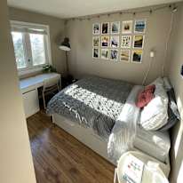 Lily's room