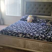 TINA's room
