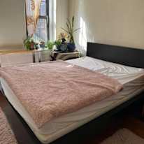 Sheila's room