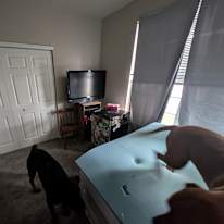 stephen's room