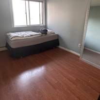 Marina's room