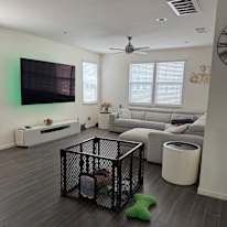 Mo's room
