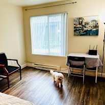 Mary's room