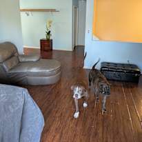 Jack and Jill's room