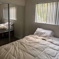 Timothy Mapes's room