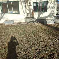 Sue Alexander's room