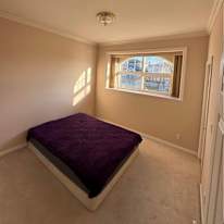 Vinicius Kuwahara's room