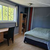 Jenny Stein's room