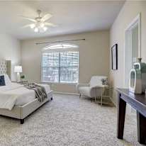 Shasta's room