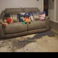 Trenelle Lynch's room