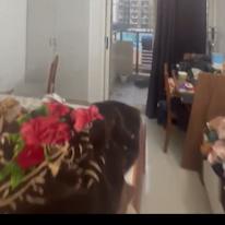 Viraj's room