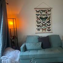 Savannah's room