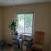 Wil's room