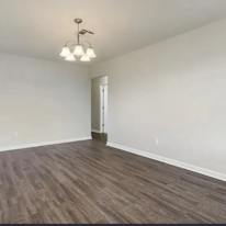 Zed's room