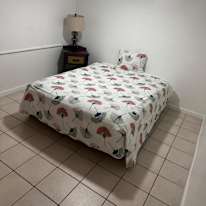 David's room