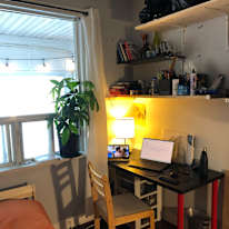 Vincent Molumby's room