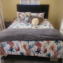 Nomusa's room